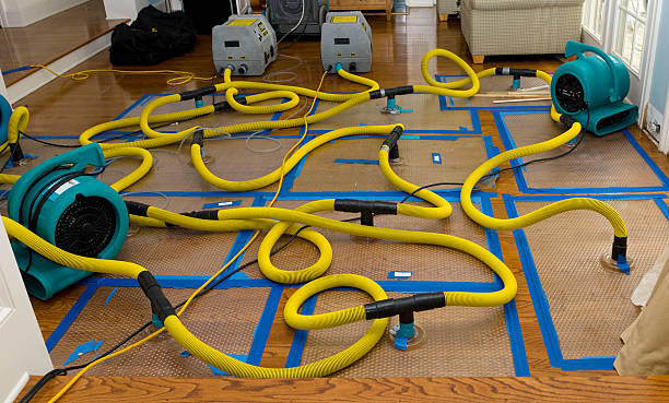 Professional Crawl Space Water Removal technician working in Poteet, TX